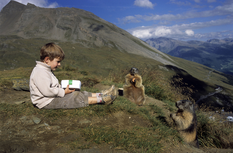 Illustration for article titled Science demands that you stop calling this kid the 'Marmot Whisperer'